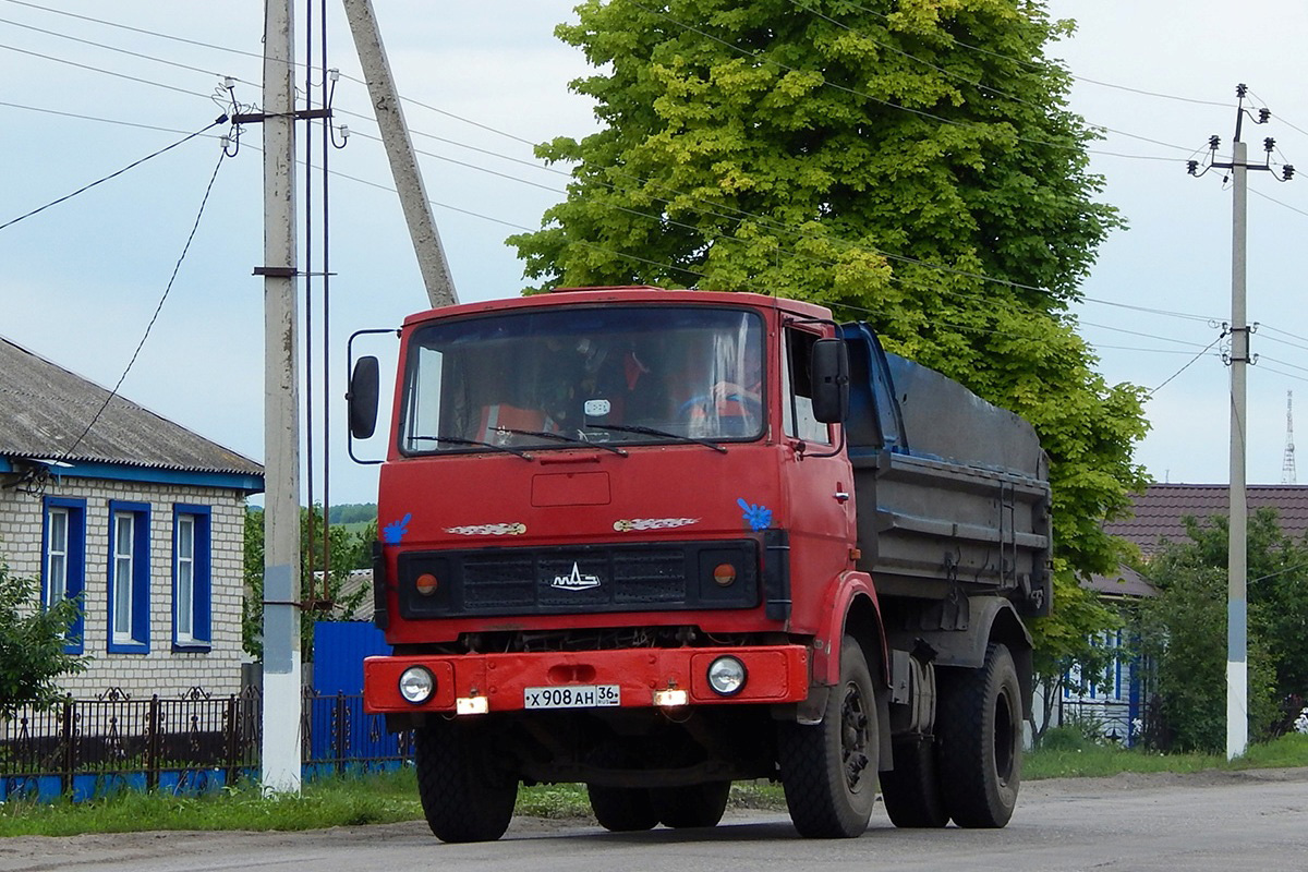 Воронежская область, № Х 908 АН 36 — МАЗ-5551 [555100]