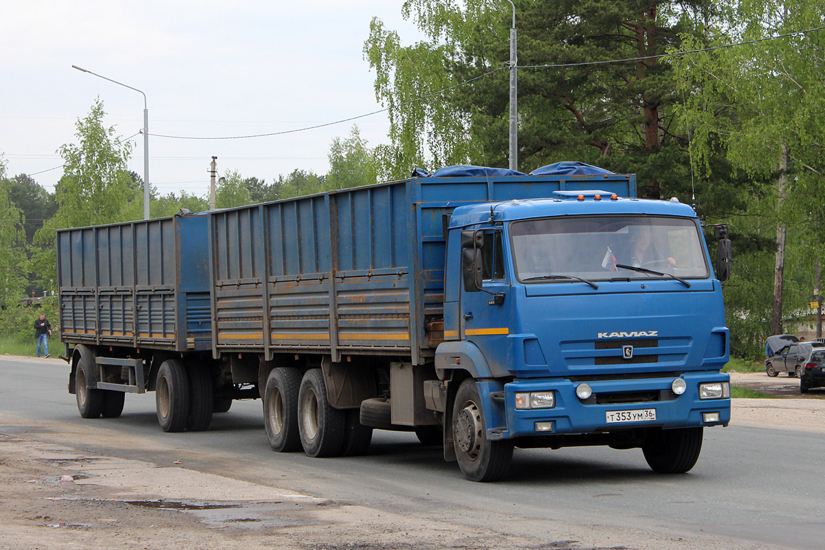 Воронежская область, № Т 353 УМ 36 — КамАЗ-65117-N3