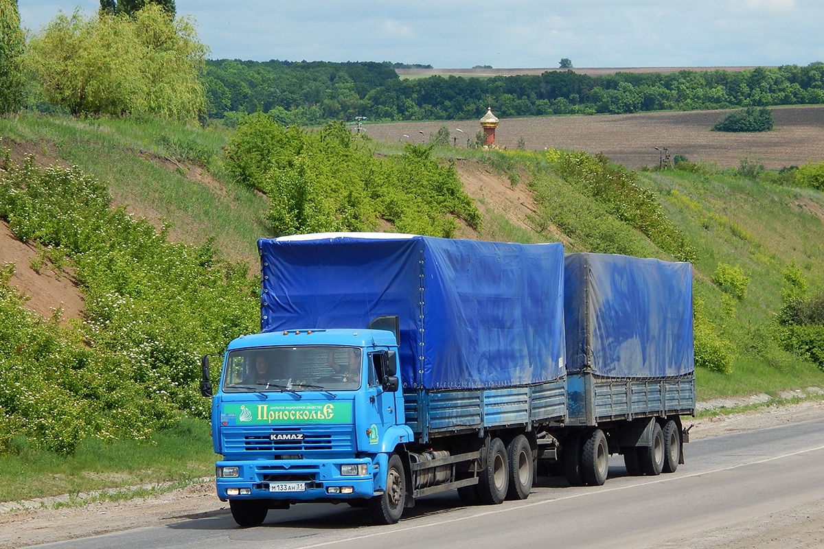 Белгородская область, № М 133 АН 31 — КамАЗ-65117-62