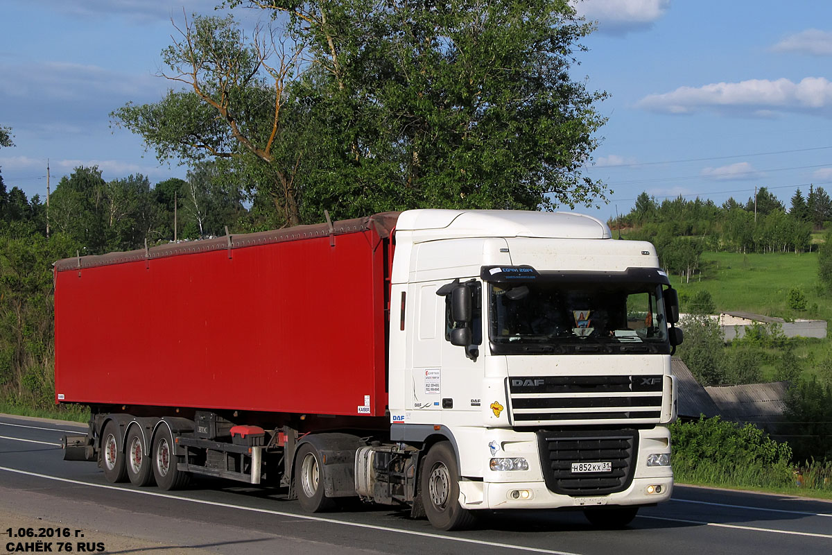 Белгородская область, № Н 852 КХ 31 — DAF XF105 FT