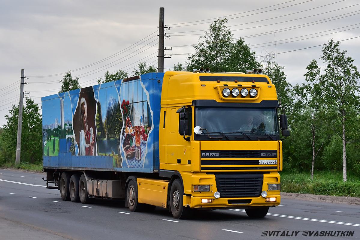 Архангельская область, № Е 303 НХ 29 — DAF 95XF FT; Архангельская область, № АЕ 2858 29 —  Прочие модели