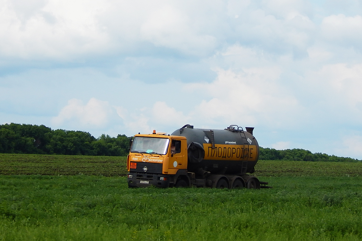 Белгородская область, № Р 073 УС 31 — МАЗ-MAN-7312