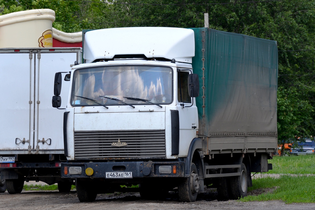 Ростовская область, № Е 463 АЕ 161 — МАЗ-437041 "Зубрёнок"