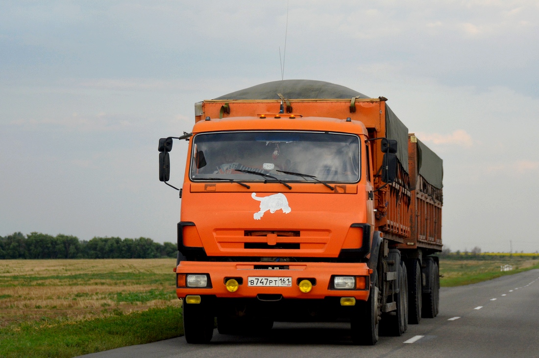 Ростовская область, № В 747 РТ 161 — КамАЗ-65115-62