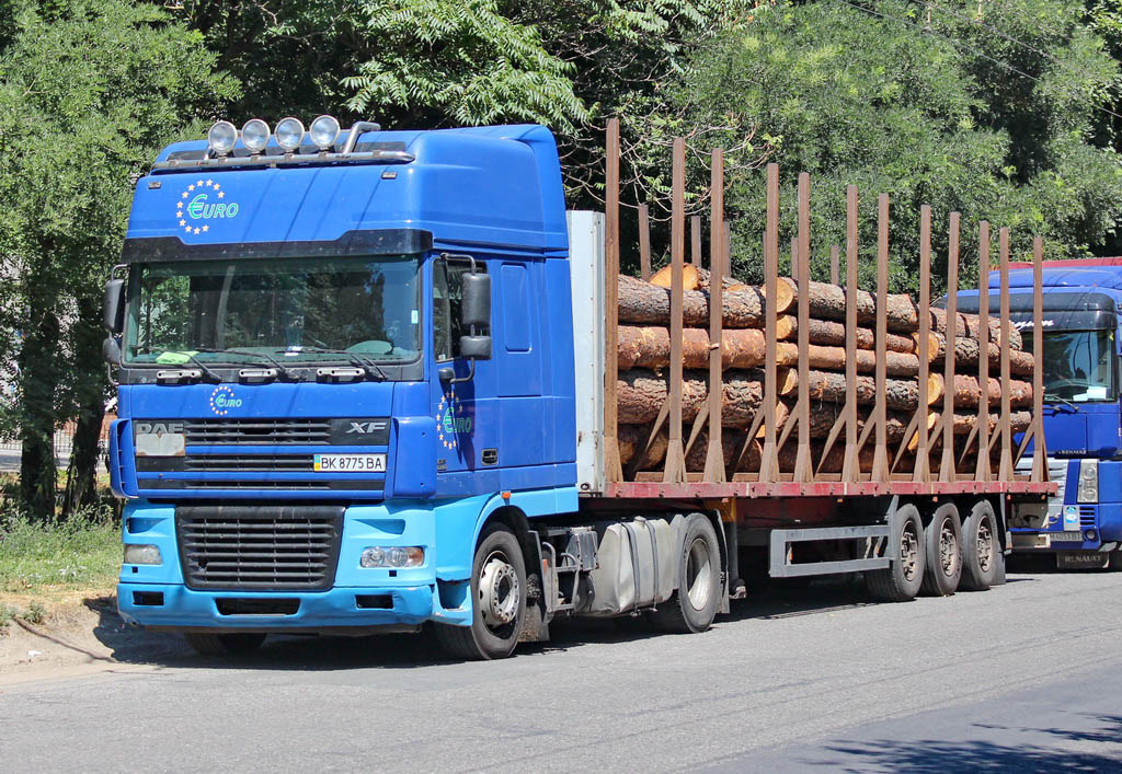 Ровненская область, № ВК 8775 ВА — DAF XF95 FT