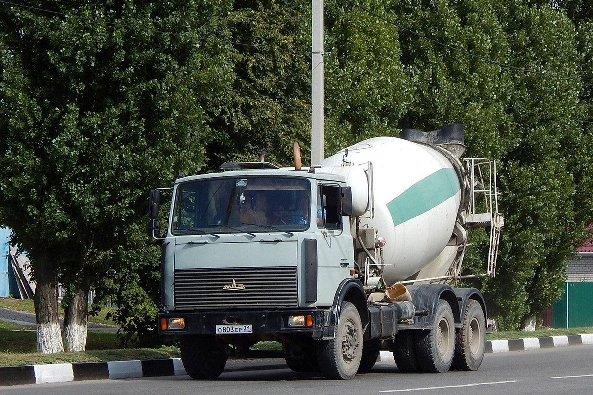 Белгородская область, № О 803 СР 31 — МАЗ-6303 (общая модель)