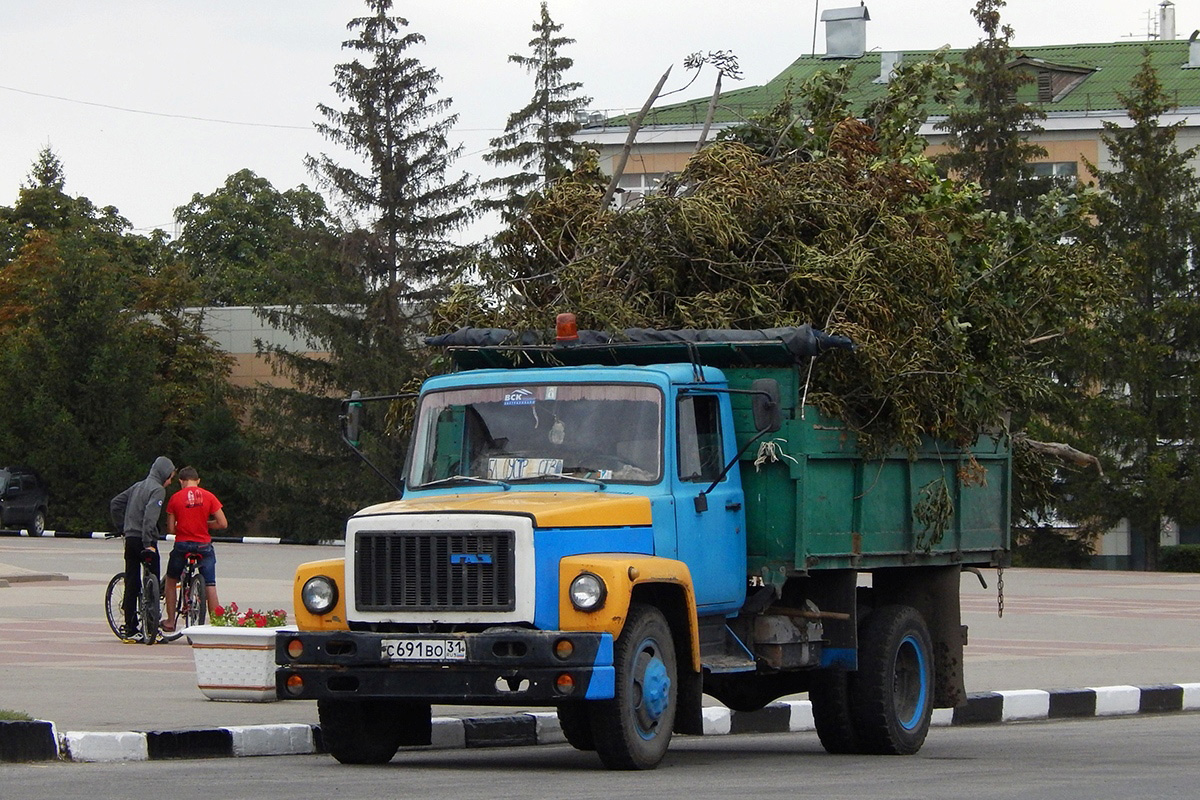 Белгородская область, № С 691 ВО 31 — ГАЗ-3307