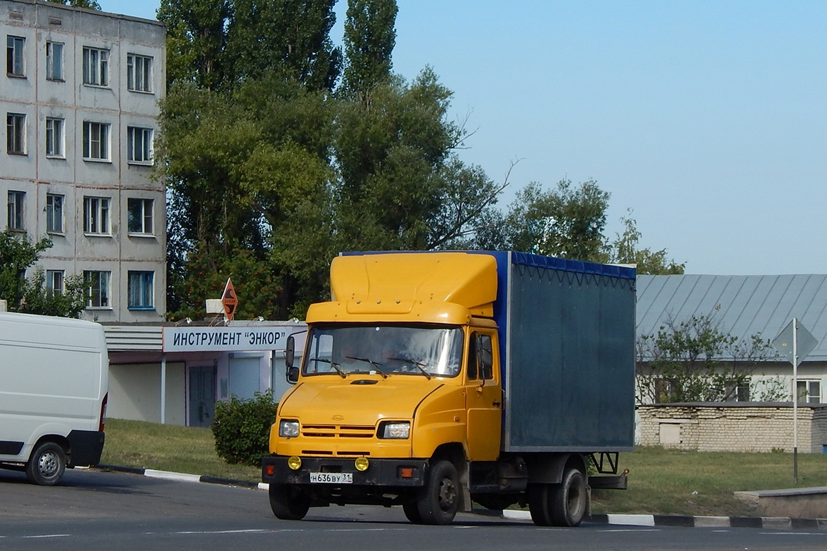 Белгородская область, № Н 636 ВУ 31 — ЗИЛ-5301 "Бычок" (общая модель