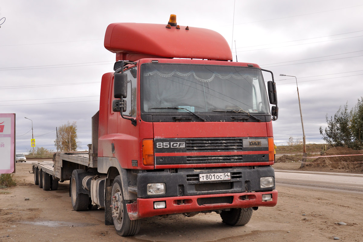 Новосибирская область, № Т 801 ОС 54 — DAF 85 (CF) FT