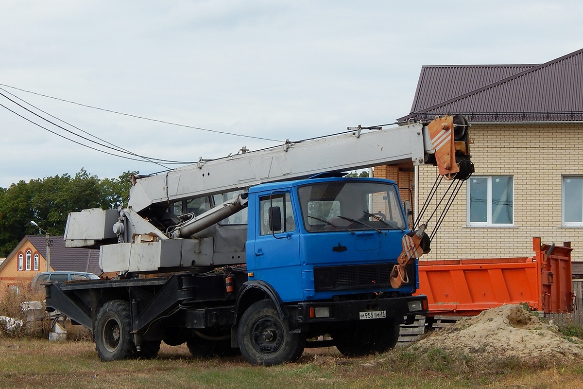 Белгородская область, № М 955 ТМ 31 — МАЗ-5337 [533700]