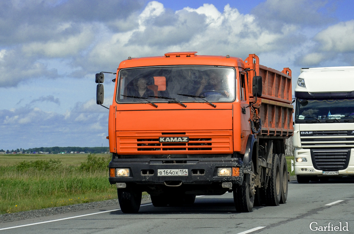 Новосибирская область, № В 164 ОХ 154 — КамАЗ-65115-15 [65115R]