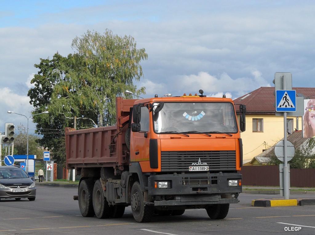 Витебская область, № АІ 1189-2 — МАЗ-6501B9