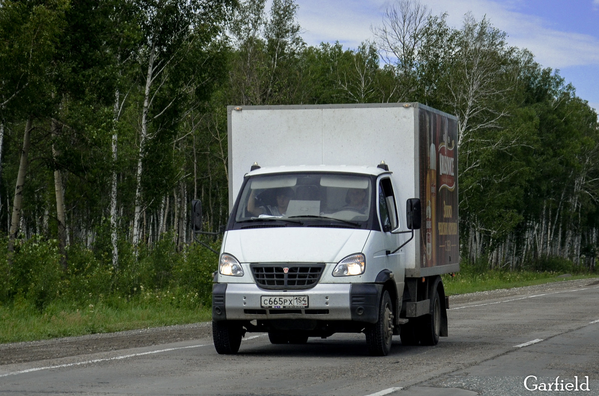 Новосибирская область, № С 665 РХ 154 — ГАЗ-33106 "Валдай"