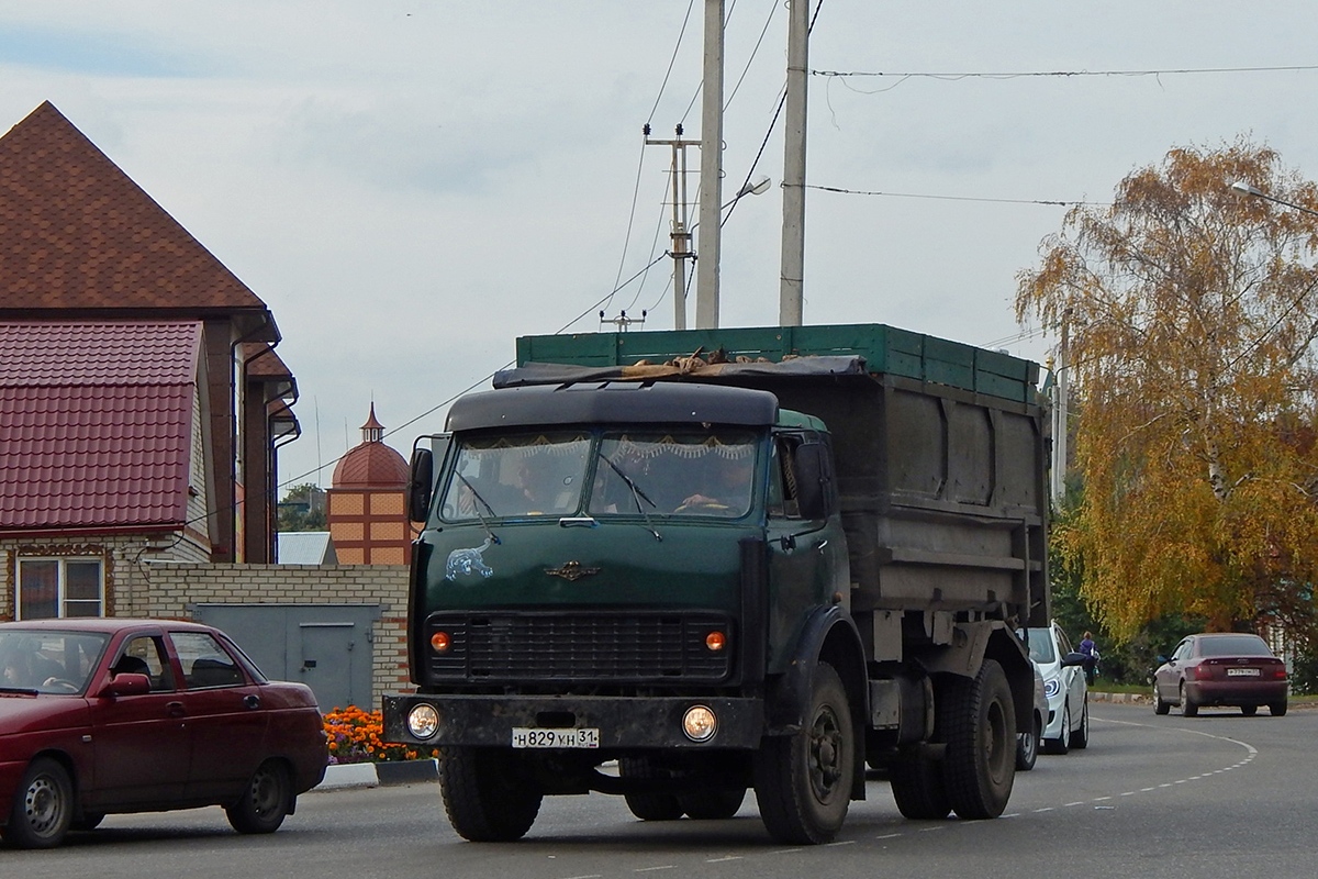 Белгородская область, № Н 829 УН 31 — МАЗ-5549