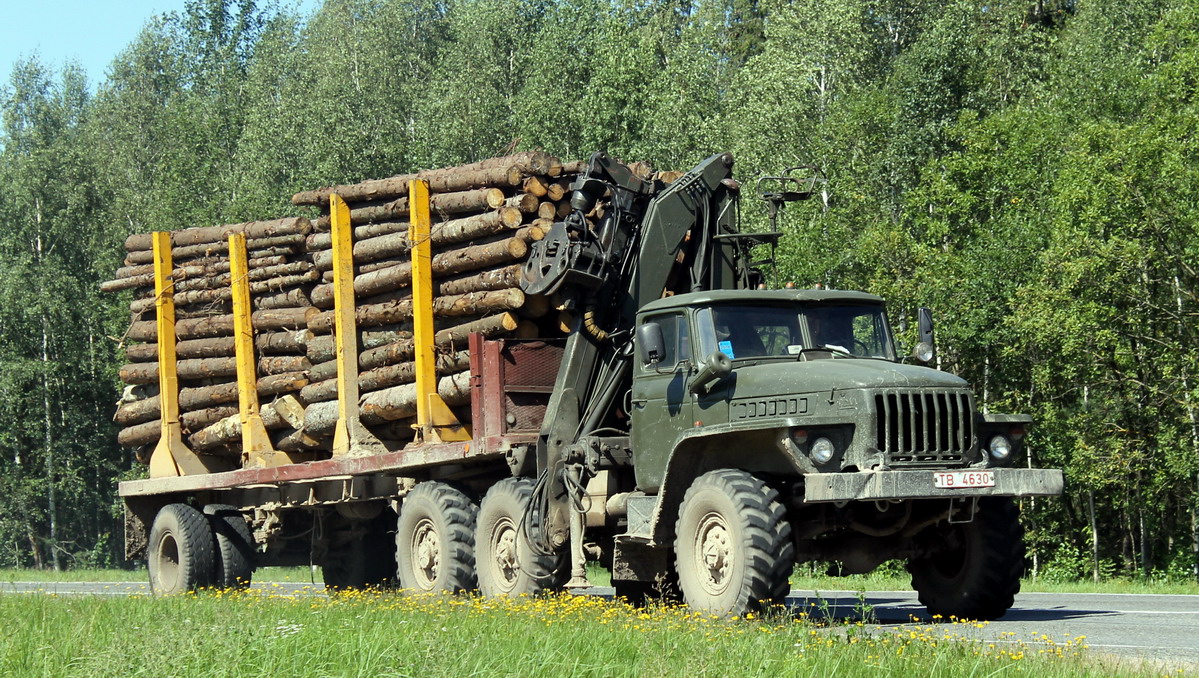 Могилёвская область, № ТВ 4630 — Урал-4320 / 5557 (общая модель)