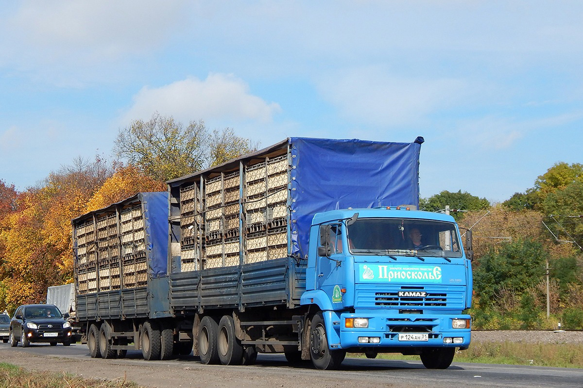 Белгородская область, № Р 124 АН 31 — КамАЗ-65117-62