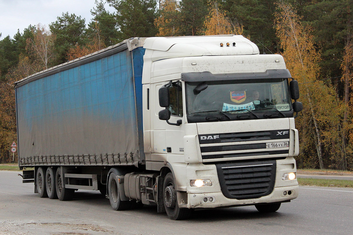 Воронежская область, № Е 166 УХ 36 — DAF XF105 FT