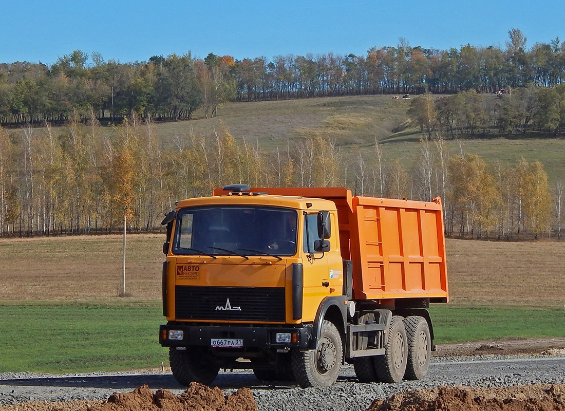 Белгородская область, № О 667 РА 31 — МАЗ-5516 (общая модель)