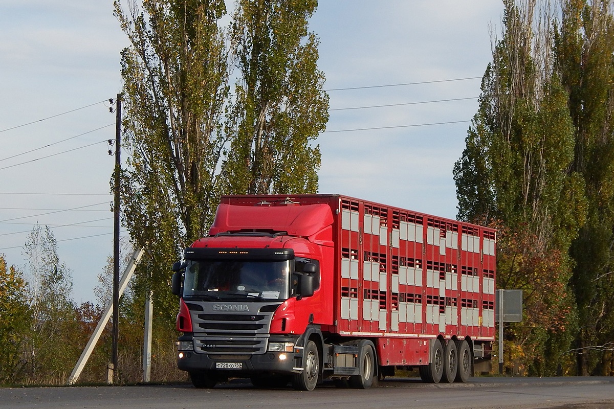 Московская область, № Т 720 КО 750 — Scania ('2011) P440