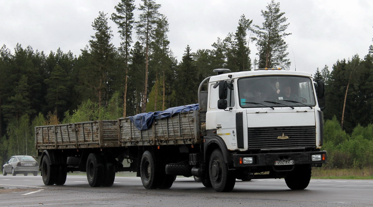 Гомельская область, № 9560 АК-3 — МАЗ-5336 (общая модель)