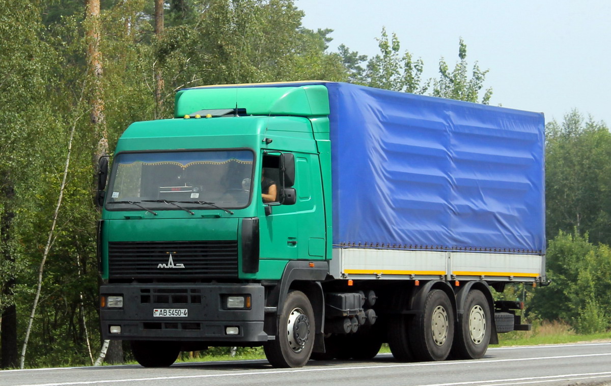 Гродненская область, № АВ 5450-4 — МАЗ-6312 (общая модель)