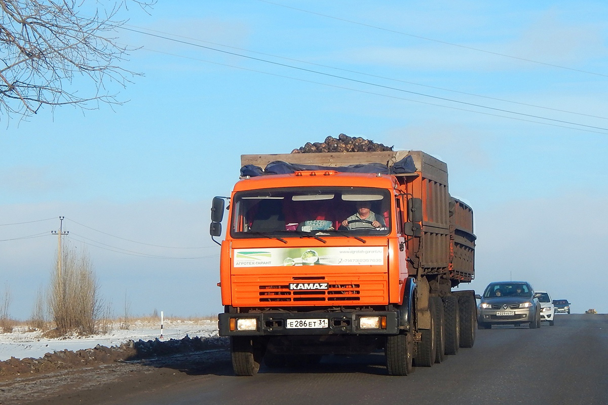 Белгородская область, № Е 286 ЕТ 31 — КамАЗ-55111 (общая модель)