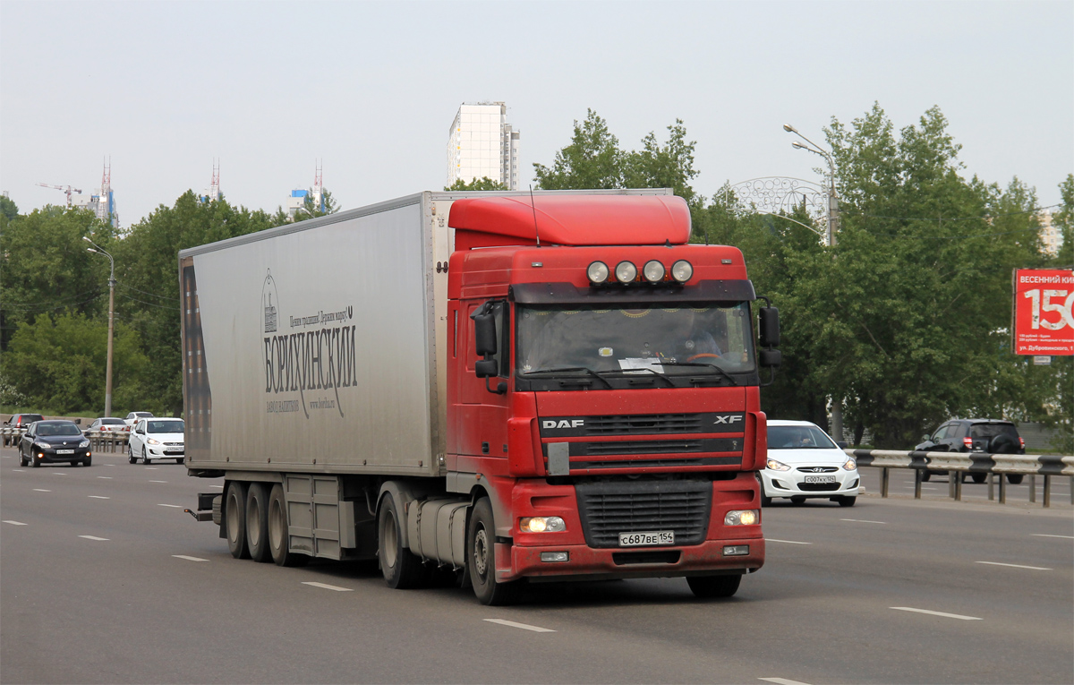 Новосибирская область, № С 687 ВЕ 154 — DAF XF95 FT