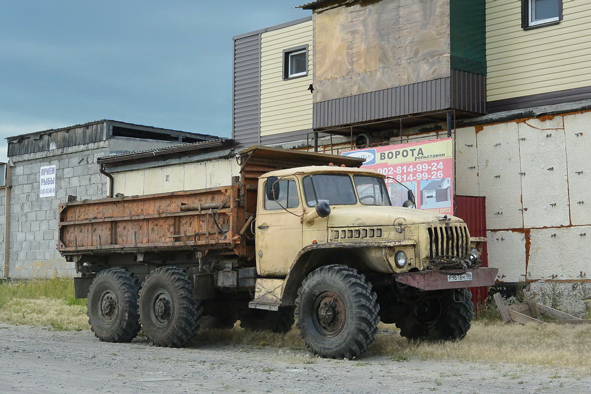 Ханты-Мансийский автоном.округ, № Р 961 ВН 186 — Урал-5557