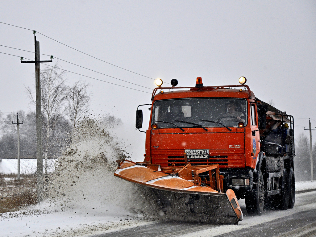 Алтайский край, № Н 894 СЕ 22 — КамАЗ-65115-62