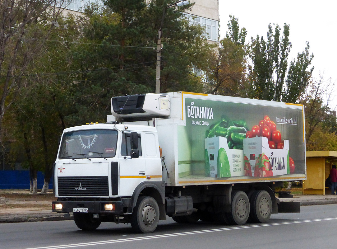 Волгоградская область, № А 566 ТТ 134 — МАЗ-6303A5