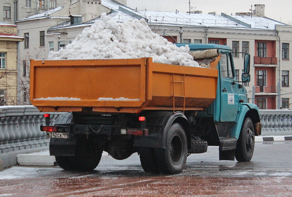 Москва, № Е 242 СК 199 — ЗИЛ-497442