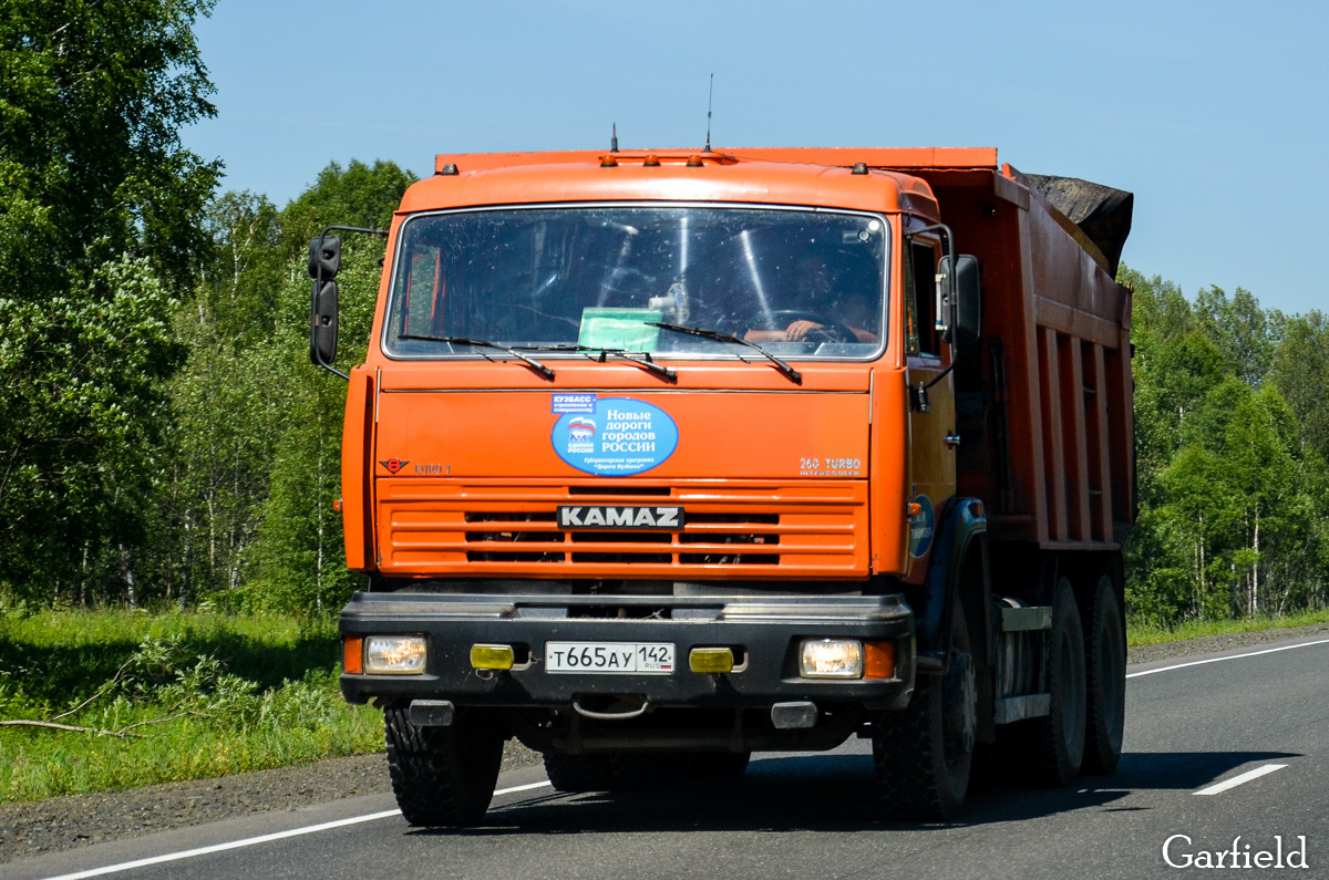 Кемеровская область, № Т 665 АУ 142 — КамАЗ-65115 [651150]