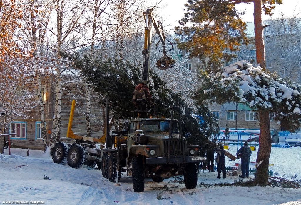 Рязанская область, № Р 534 СР 62 — Урал-43204