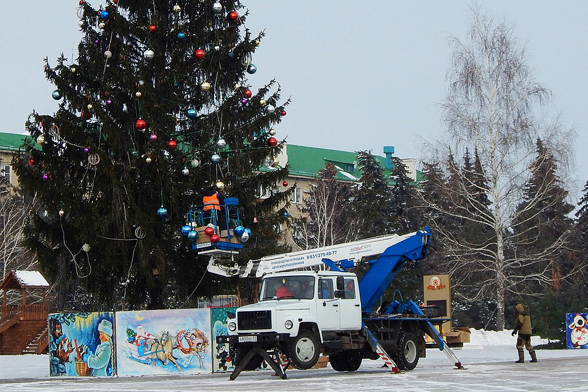 Белгородская область, № О 803 ВК 31 — ГАЗ-3309