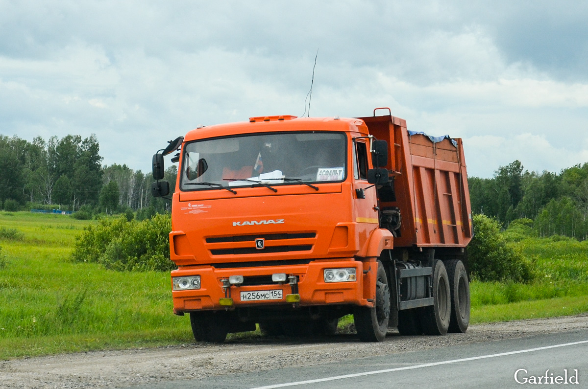 Новосибирская область, № Н 256 МС 154 — КамАЗ-65115-L4