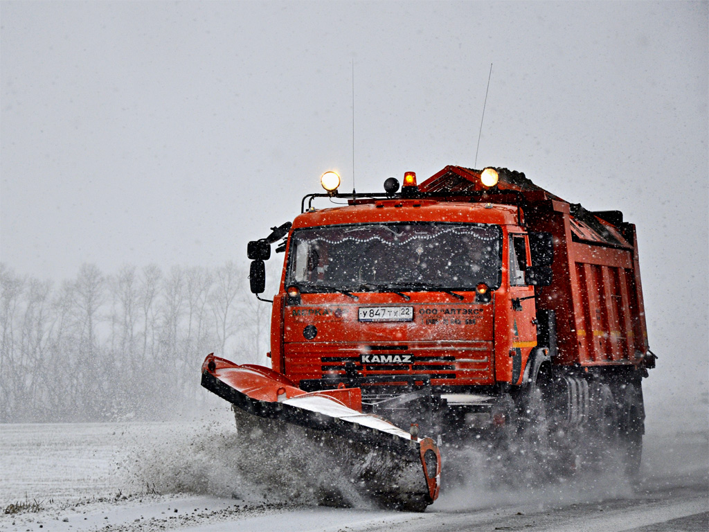 Алтайский край, № У 847 ТХ 22 — КамАЗ-65115-62