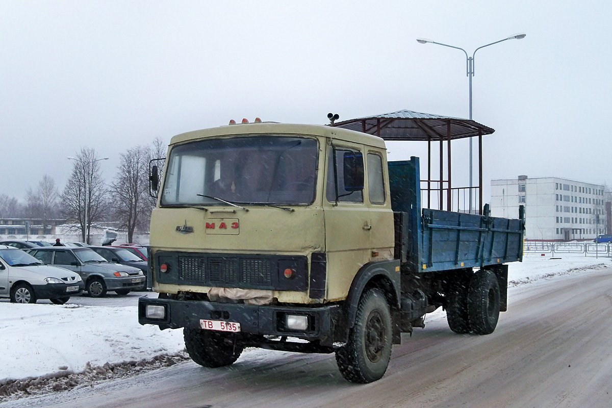 Могилёвская область, № ТВ 5135 — МАЗ-5336 (общая модель)