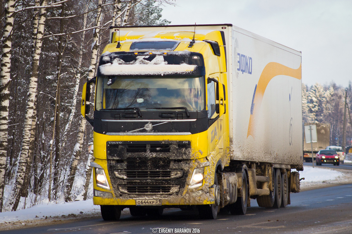 Белгородская область, № О 644 КР 31 — Volvo ('2012) FH.420 [X9P]