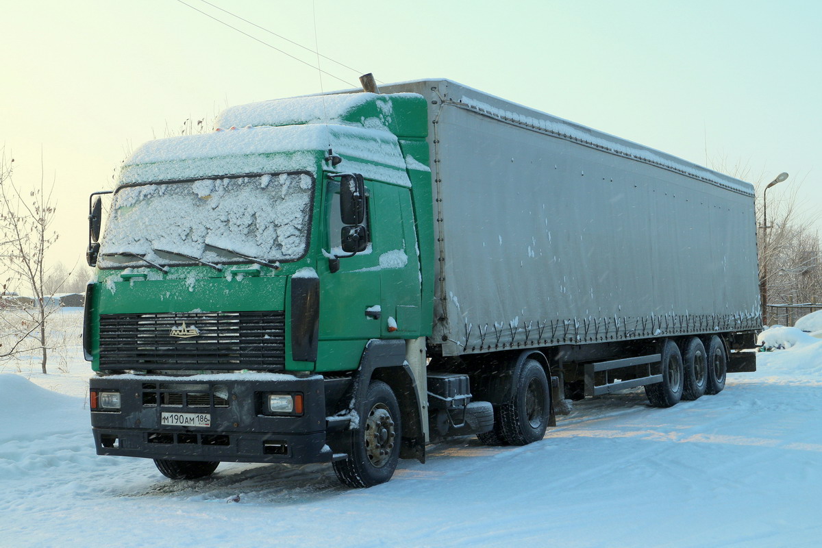 Омская область, № М 190 АМ 186 — МАЗ-544008