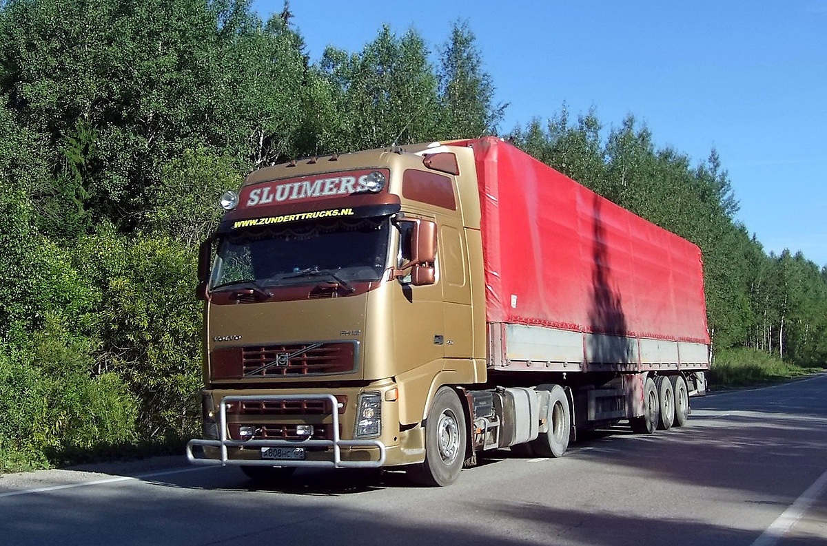 Пермский край, № А 808 НС 159 — Volvo ('2002) FH12.380