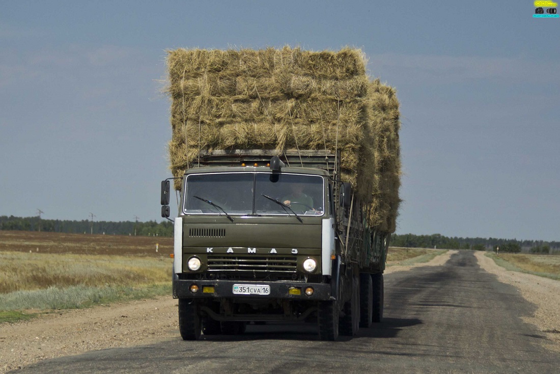 Восточно-Казахстанская область, № 351 CVA 16 — КамАЗ-5320