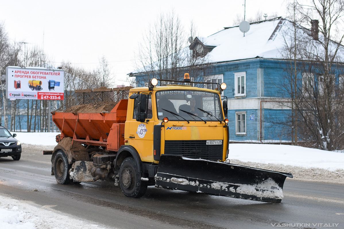 Архангельская область, № Е 557 ТТ 29 — МАЗ-533702