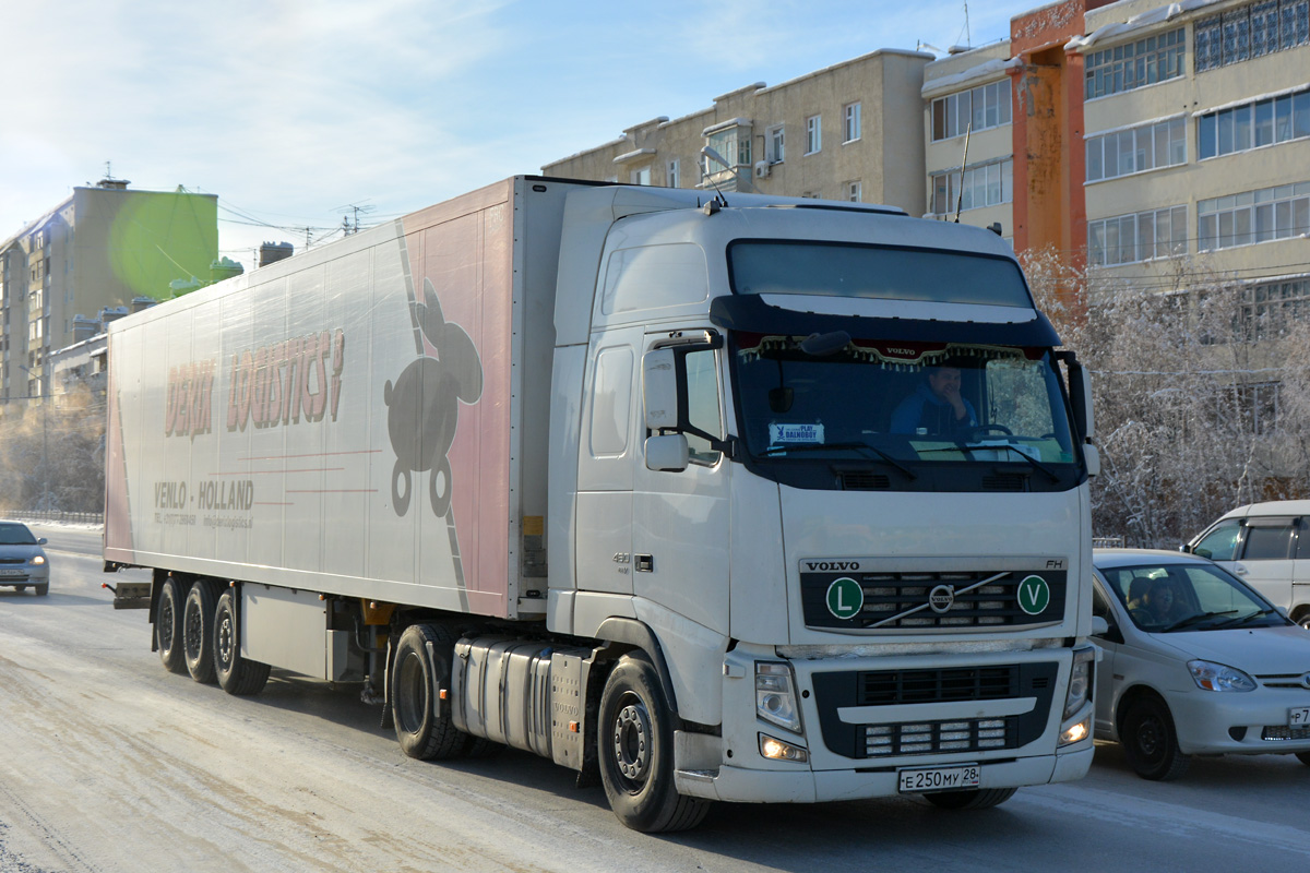 Амурская область, № Е 250 МУ 28 — Volvo ('2008) FH.460; Амурская область, № АР 4547 28 — Schmitz Cargobull S.KO (общая модель)