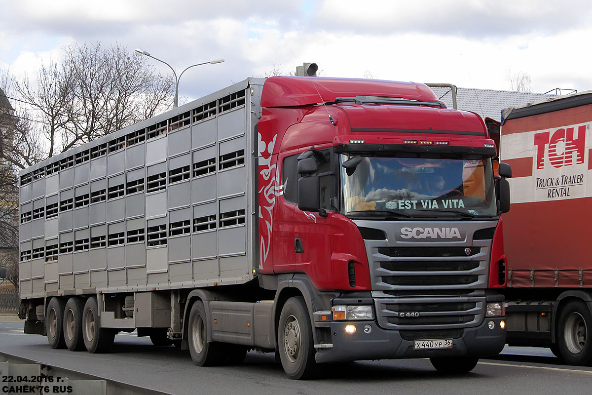 Воронежская область, № Х 440 УР 36 — Scania ('2009) G440