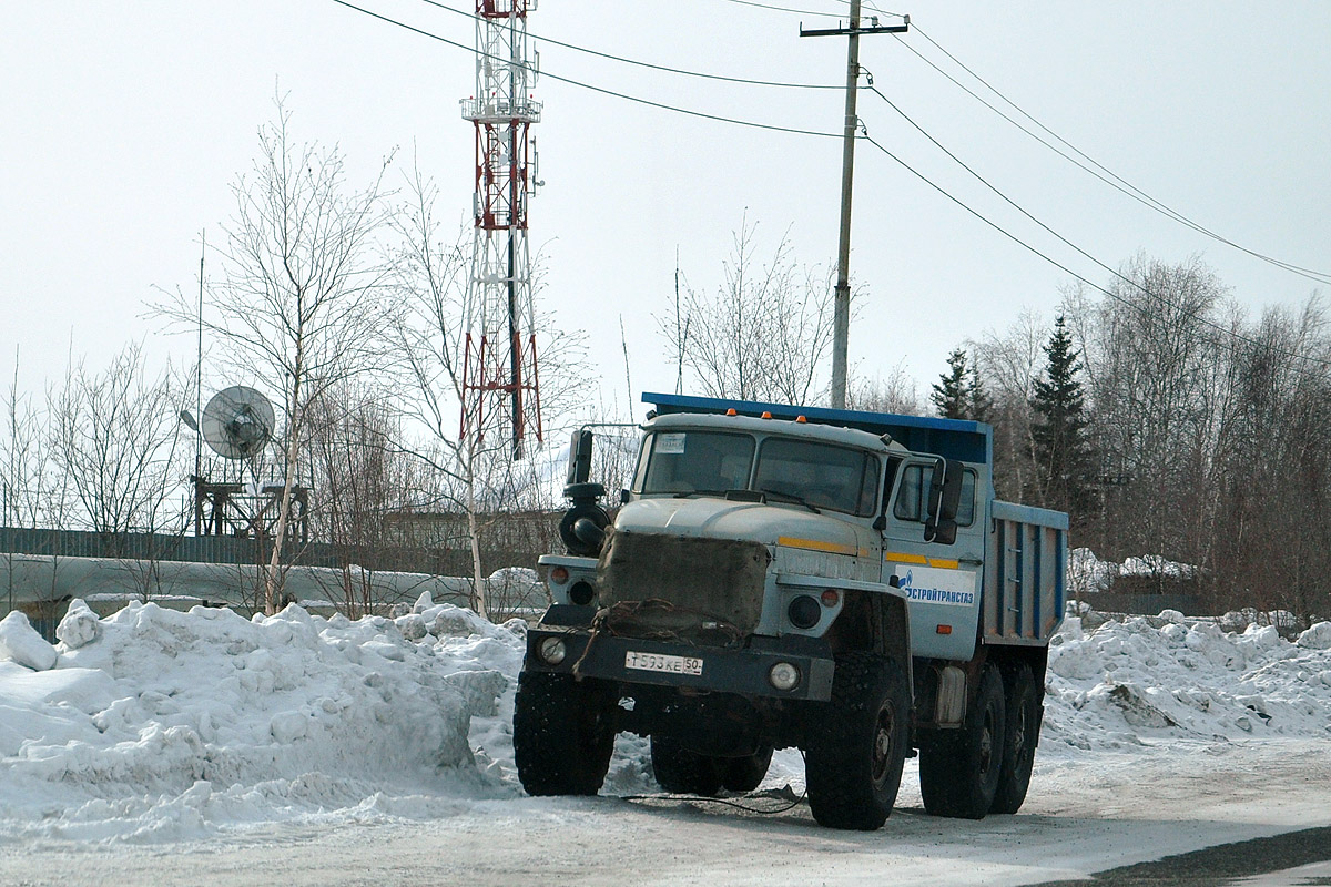 Московская область, № Т 593 КЕ 50 — Урал-55571-60