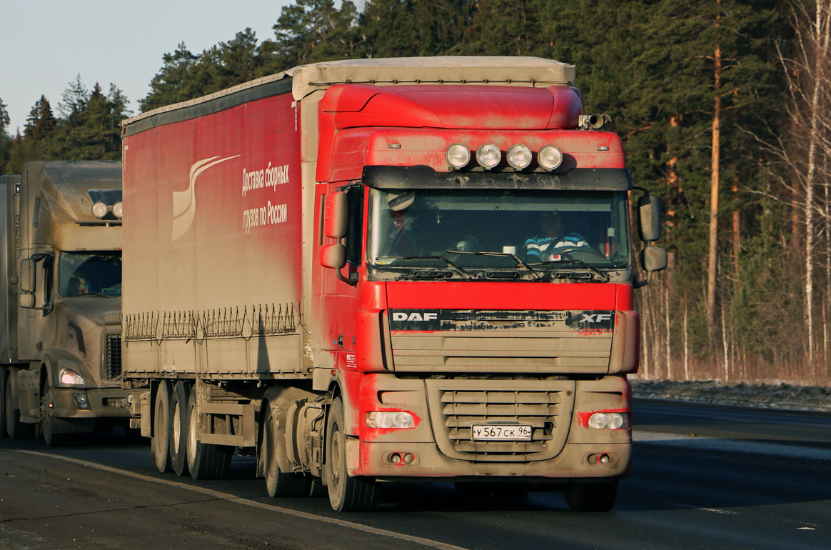 Свердловская область, № У 567 СК 96 — DAF XF105 FT