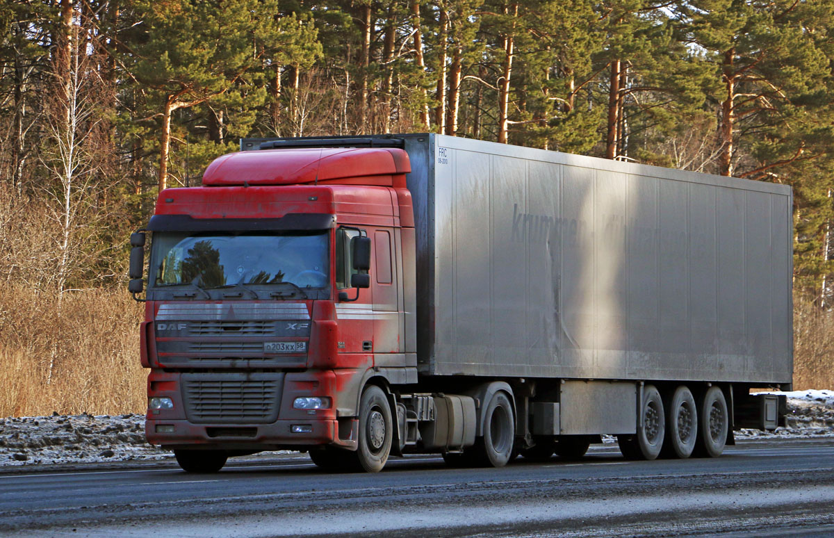 Пензенская область, № О 203 КХ 58 — DAF XF95 FT