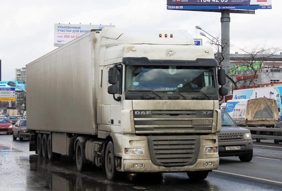 Воронежская область, № Р 903 УУ 36 — DAF XF105 FT