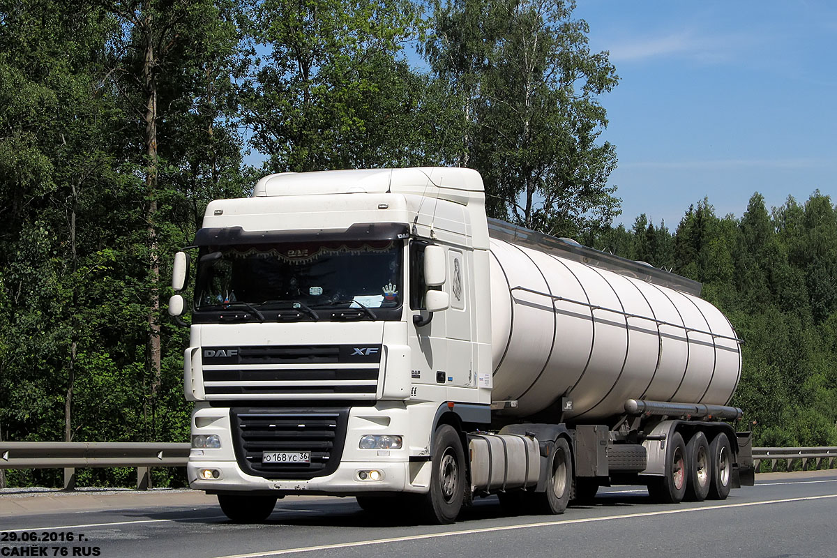 Воронежская область, № О 168 УС 36 — DAF XF105 FT