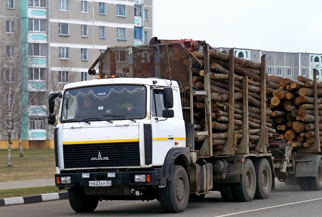 Брянская область, № Н 623 АУ 32 — МАЗ-6303A8